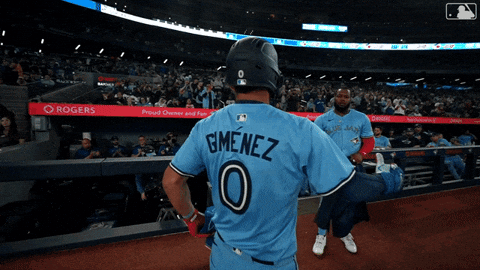 Blue Jays Baseball GIF by Toronto Blue Jays