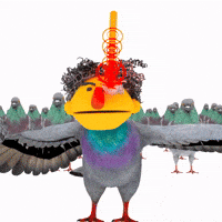 Laser Pigeon GIF