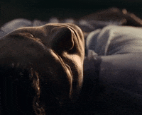 Falling GIF by Harry Styles