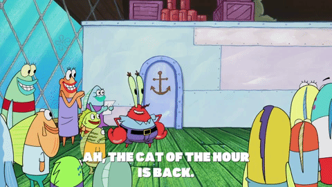 season 9 episode 10 GIF by SpongeBob SquarePants