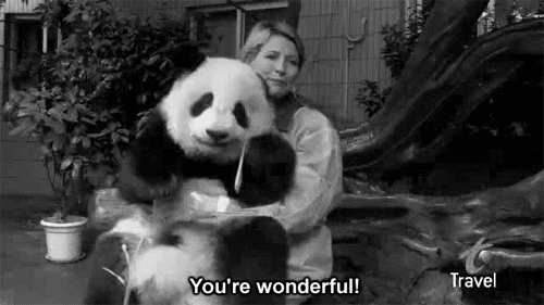 panda hug GIF