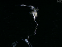 x files GIF by The X-Files