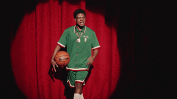Basketball Hoops GIF by NBA