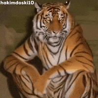 Tai Lung Shock GIF
