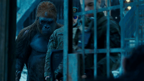 woody harrelson colonel GIF by War for the Planet of the Apes