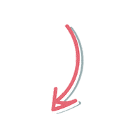 Pink Rose Sticker