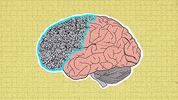 power brain GIF