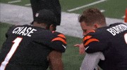 Football Nfl GIF by Bengals