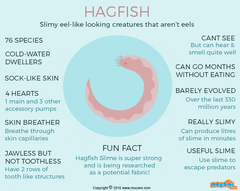 mocomikids giphyupload GIF