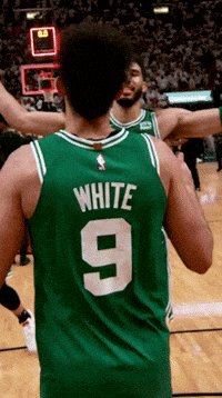 Boston Celtics GIF by NBA