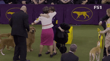 Standard Poodle Win GIF by Westminster Kennel Club