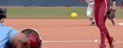 James Madison Softball GIF by NCAA Championships