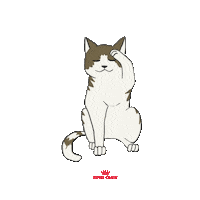 Gato Sticker by Royal Canin Brasil