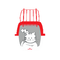 Gatinho Sticker by Royal Canin Brasil
