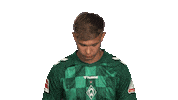 Look Up Werder Bremen Sticker by Bundesliga