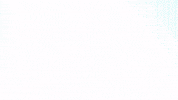 Basketball Champions League Bcl GIF by San Pablo Burgos