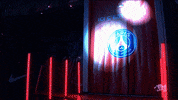Nikola Karabatic Sport GIF by Paris Saint-Germain Handball