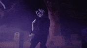 rats GIF by Ghost