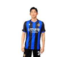 Football Soccer Sticker by Incheon United FC