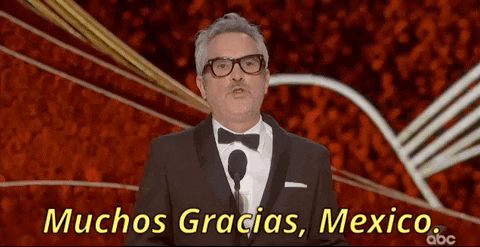 oscars GIF by The Academy Awards