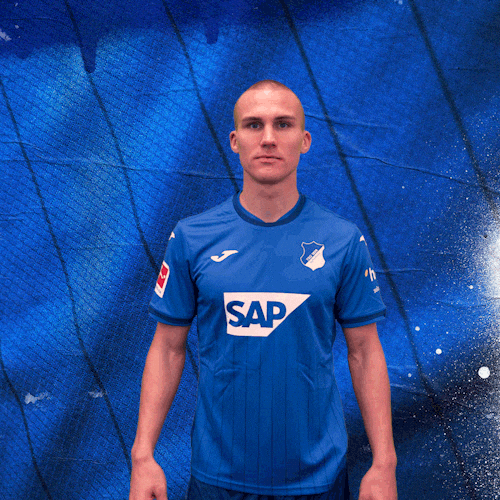 Sport Bundesliga GIF by TSG Hoffenheim