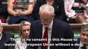 news uk british brexit parliament GIF
