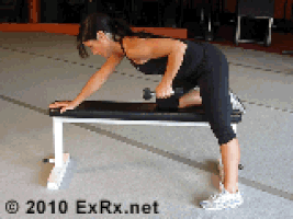 db GIF