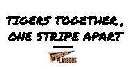Stronger Together Tigers Sticker by Princeton University