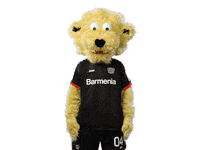 Bayer 04 Brian GIF by Bayer 04 Leverkusen