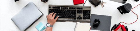 tony-ludlow giphygifmaker giphyattribution GIF