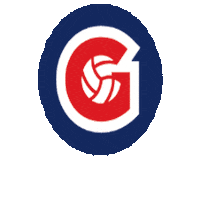 gracevolleyballacademy volleyball academy grace gracevolleyballacademy Sticker