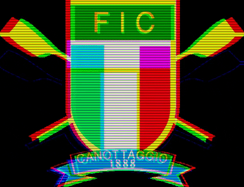 dariodv giphygifmaker fic canottaggio canottaggio1888 GIF