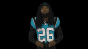 Let Me See North Carolina GIF by Carolina Panthers