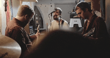 mergerecords cat modelo bob dylan titus GIF