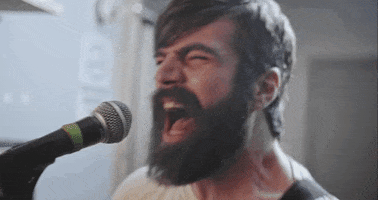 mergerecords cat modelo bob dylan titus GIF