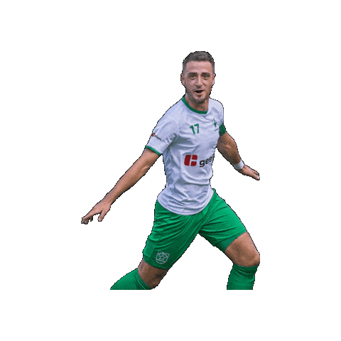 Sport Heerlen Sticker by Groene ster