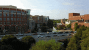 GIF by DT GVL