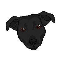 Dogs Puppy Sticker by Kentucky Dogwear