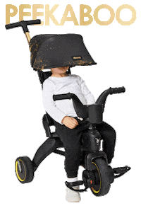 Popping Out Peek A Boo Sticker by Doona™ - Parenting Made Simple