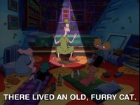 hey arnold nicksplat GIF