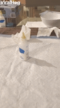 Tiny Kitten is Frantic at Feeding Time