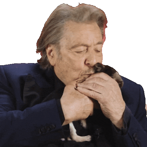 Al Pacino Love Sticker by BuzzFeed