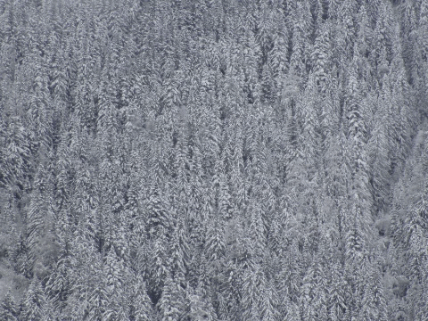 stevechamgif giphygifmaker snow winter chamonix GIF