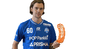 F-liiga floorball salibandy innebandy f-liiga Sticker