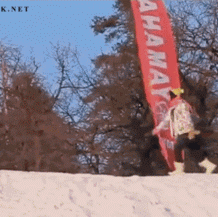 daisy GIF