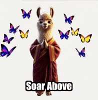 Freedom Wisdom GIF by dalaillamazen