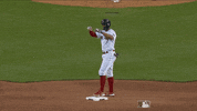 Major League Baseball Sport GIF by MLB