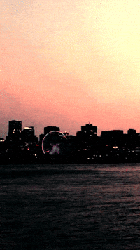 Martial Arts Win GIF by Casol