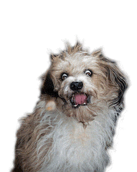 Bbc One Lol Sticker by BBC