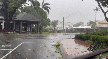 'Wild' Winds in Queensland as Cyclone Jasper Reaches Shore